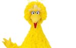 Big Bird To Host Next White House Correspondents Dinner