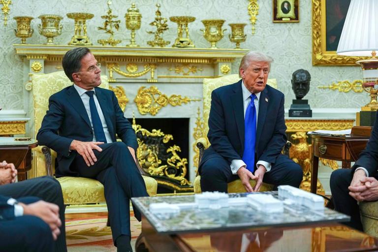 “So what if kids go hungry,” Trump says, “I’ve got lots of gold decorations.”